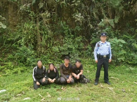 Gangs organized others to smuggle profits and were uprooted. Guangxi destroyed a smuggling gang that occupied the border and arrested 17 people.